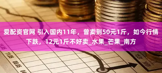 爱配资官网 引入国内11年，曾卖到50元1斤，如今行情下跌，12元1斤不好卖_水果_芒果_南方