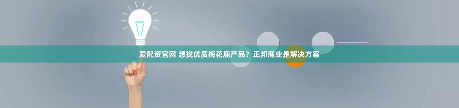 爱配资官网 想找优质梅花鹿产品？正邦鹿业是解决方案